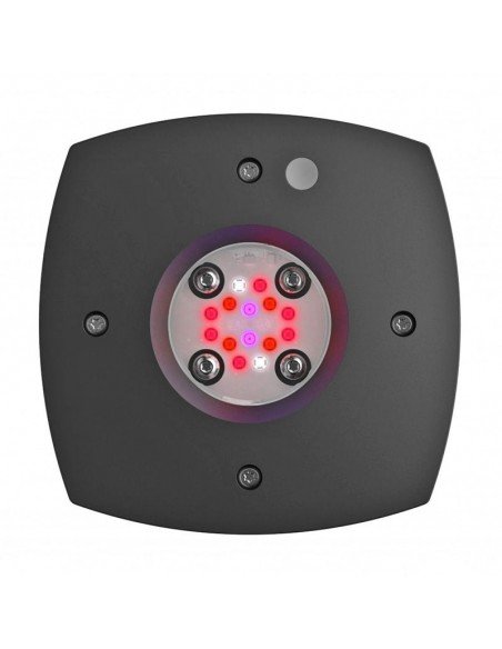 AI Prime Fuge 16HD Refugium Macroalgae LED Grow Light