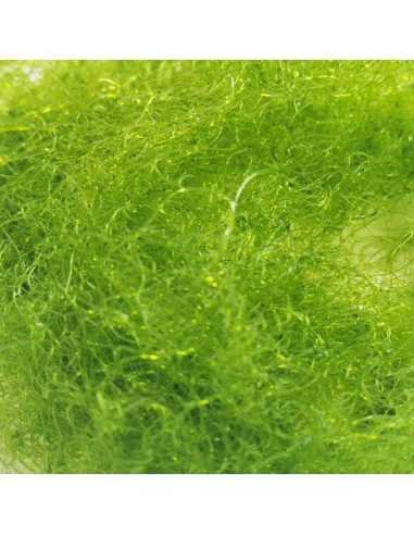 Chaetomorpha Chaeto Fine Marine Macro algae