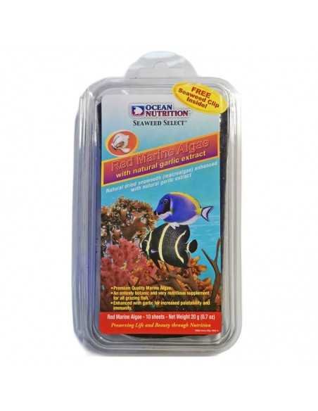 Ocean Nutrition Seaweed Red Marine Algae free Clip