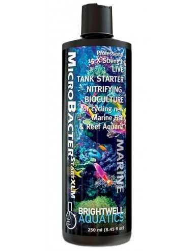 Brightwell Aquatics MicroBacter Start XLM