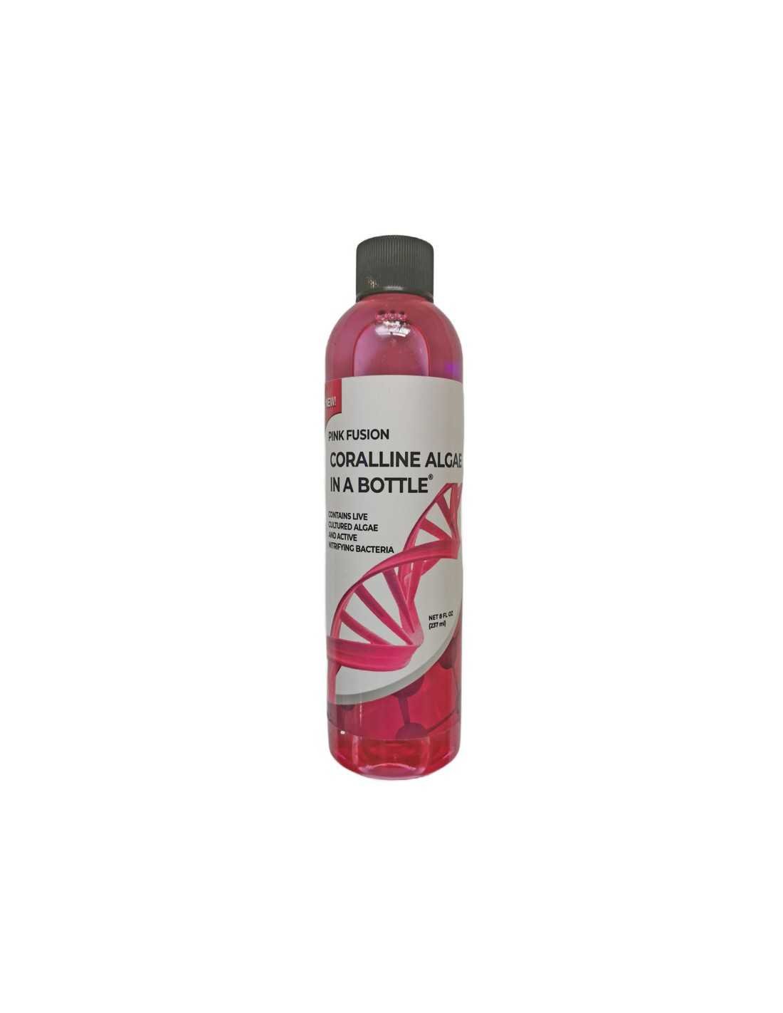 Pink Fusion Coralline Algae In A Bottle