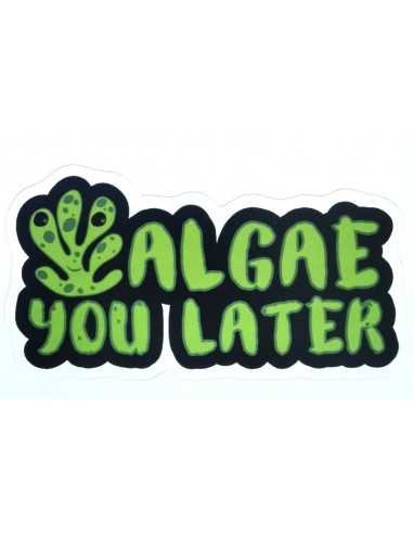 Design Sticker Aquarium - Algae You Later Green