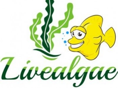Livealgae - Refreshed Macroalgae Website for you